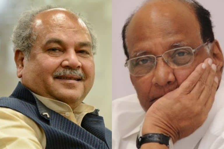 Sharad Pawar and Narendra Singh Tomar