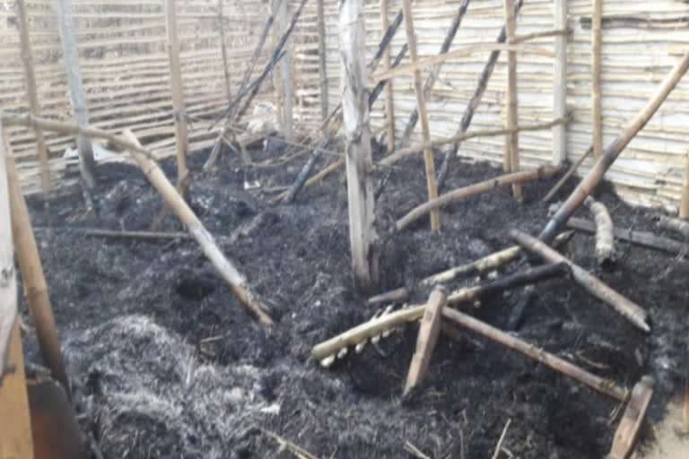 fire in poultry farm in Seraikela