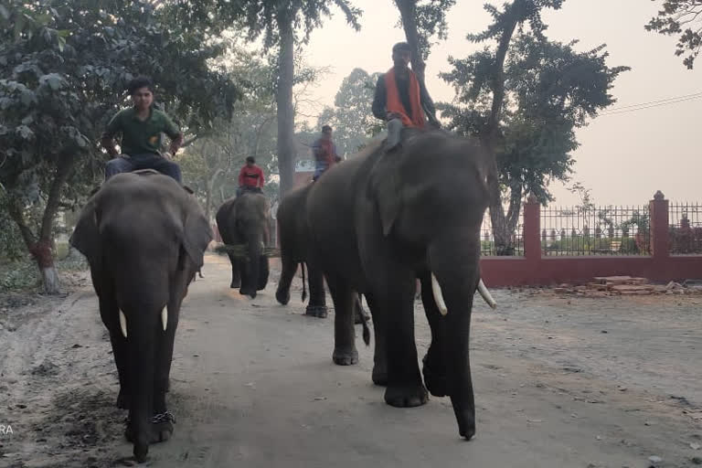 बेतिया