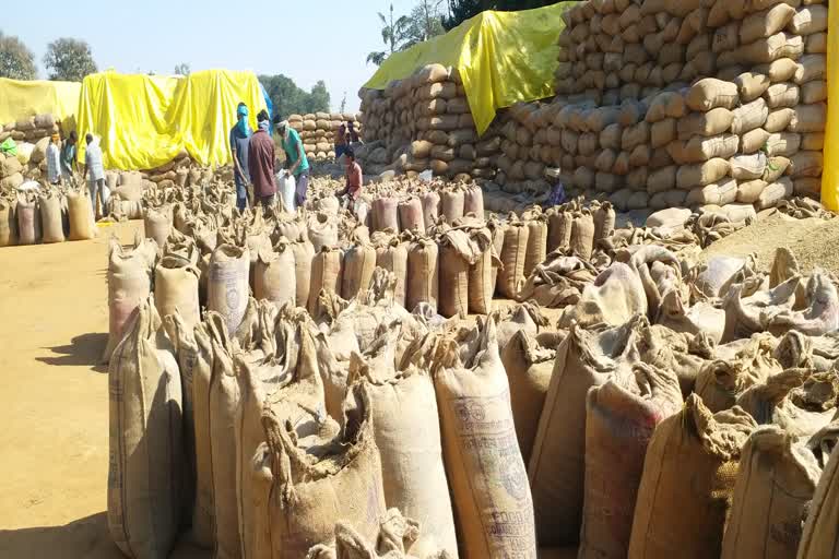 paddy purchased in Bastar division