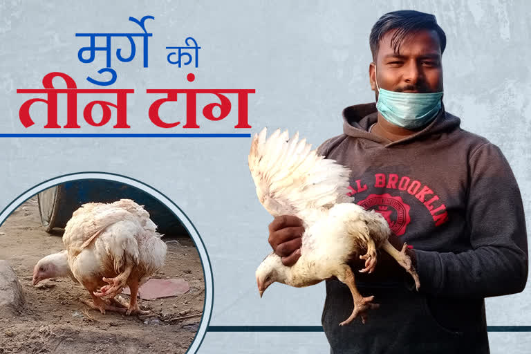 roorkee chicken news