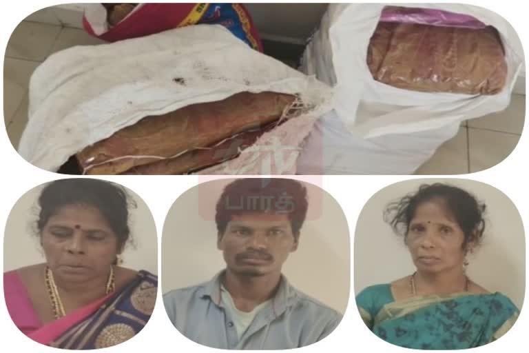 cannabis seized cannabis Tamil Nadu-Andhra border 45 kg cannabis seized on Tamil Nadu-Andhra border Thiruvallur latest news Thiruvallur district news கஞ்சா பறிமுதல் தமிழ்நாடு-ஆந்திரா எல்லையில் திருவள்ளூர் மாவட்ட செய்திகள் கஞ்சா