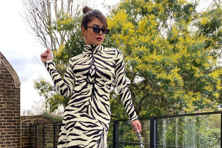 Priyanka Chopra and her pet dog wear a similar white tiger print dress