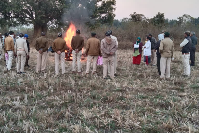 Leopard found in dead state