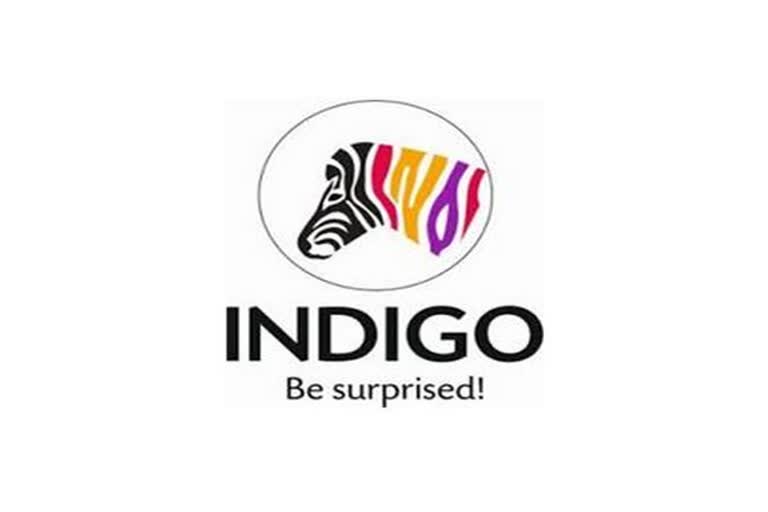 Indigo Paints makes impressive market debut; shares zoom 75 pc