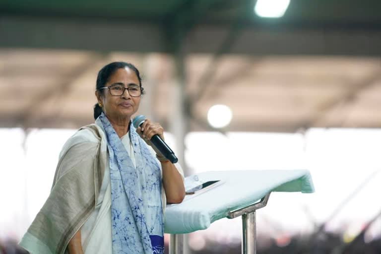 bjp doing for tea workers only before elections, mamata banerjee says at falakata