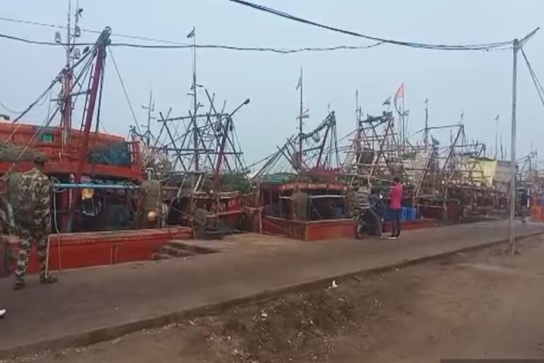 number of commodity transactions at the port of Paradip has increased