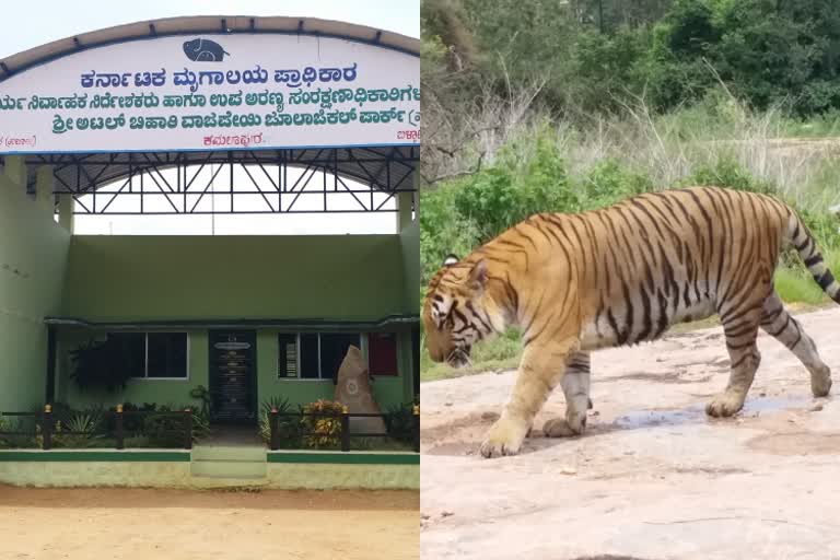 ಗೋ ಹತ್ಯೆ ನಿಷೇಧ ಕಾಯ್ದೆ