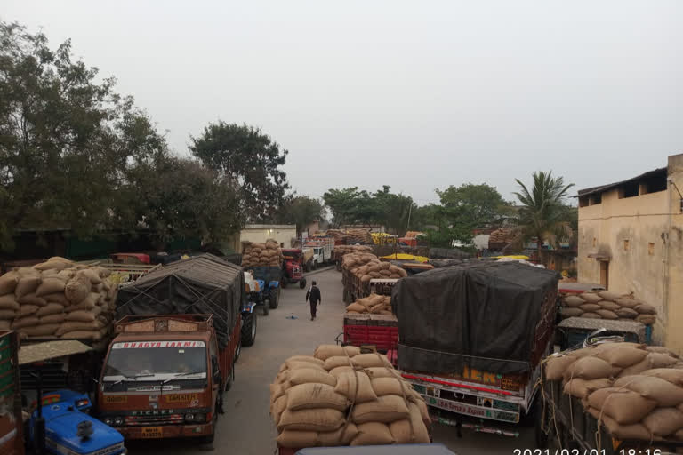 मका खरेदीस नकार, संतप्त शेतकऱ्यांचे आंदोलन