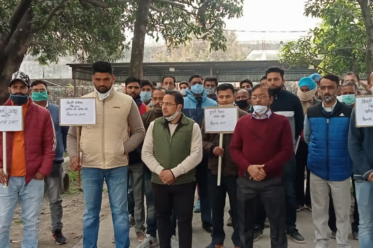 Power department employees strike against privatization