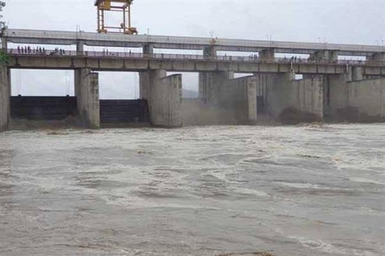 yamuna-water-decreased-on-hathni-kund-barrage