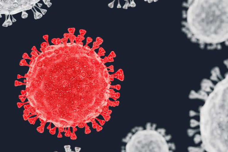 Brazilian researchers find patients infected with two different coronavirus strains