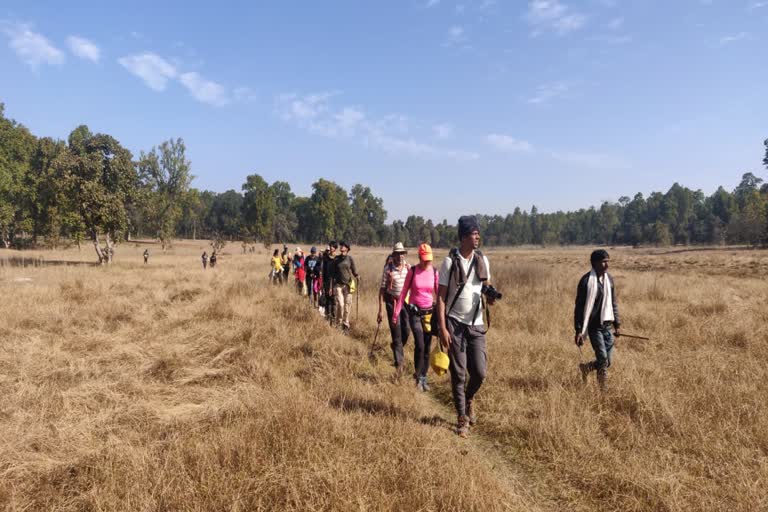 Trekking in Sanjay Dubri National Park