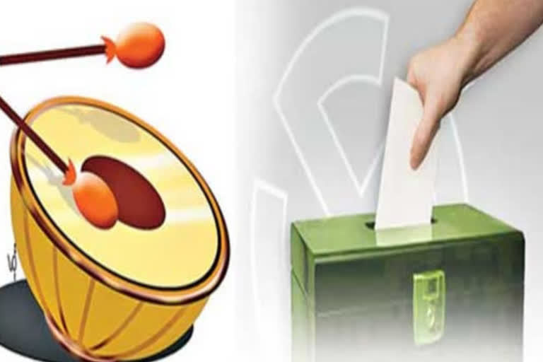 local body elections