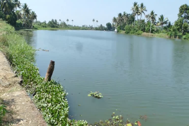 കിന്‍ഫ്ര  കോട്ടയം തുറമുഖത്ത് നിന്നുള്ള ചരക്ക് നീക്കം ഈ മാസം 16ന് ആരംഭിക്കും  കോട്ടയം  കോട്ടയം തുറമുഖം  കോട്ടയം തുറമുഖം ചരക്ക് നീക്കം  കസ്‌റ്റംസ്  നാട്ടകം തുറമുഖം  മുന്‍ കോട്ടയം എം.എൽ.എ  വി.എന്‍ വാസവന്‍  Cargo movement from Kottayam port will start on 16  Cargo movement from Kottayam port  Cargo movement Kottayam port  Kottayam port  Kottayam