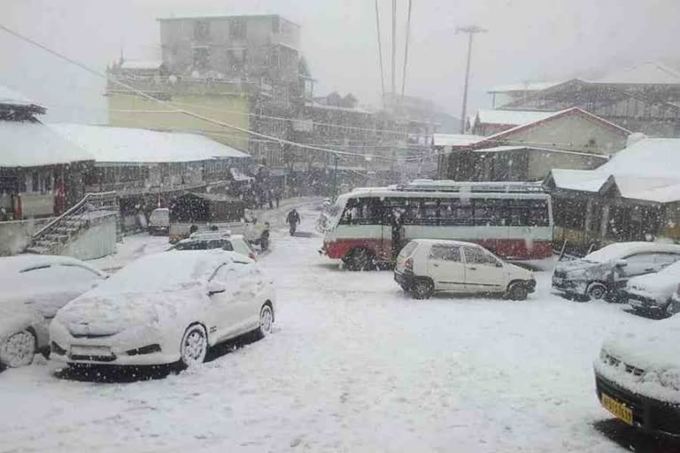 Snowfall in Chail