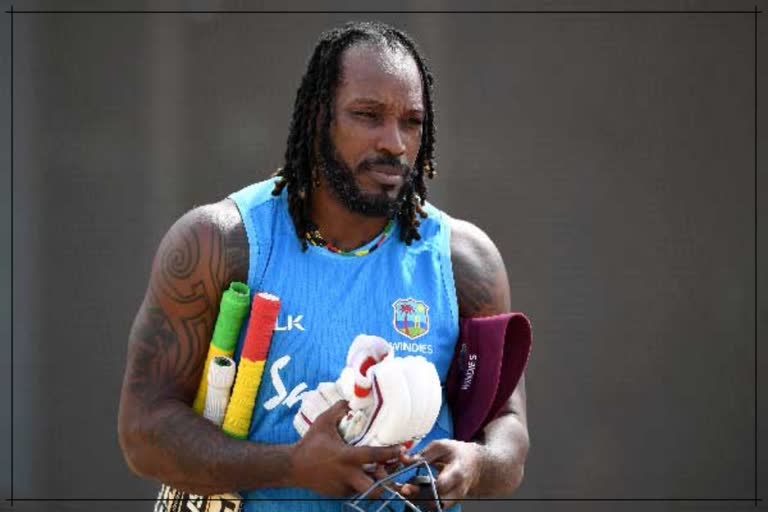 Chris Gayle in Abudabi