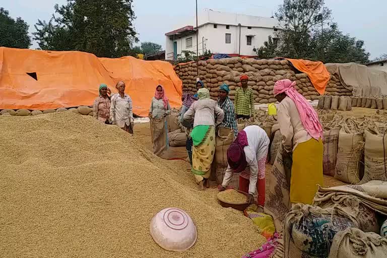 2-lakh-quintal-more-paddy-procured-in-balod-district