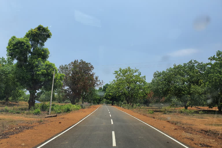 Road network will be laid in Bastar in the year 2021