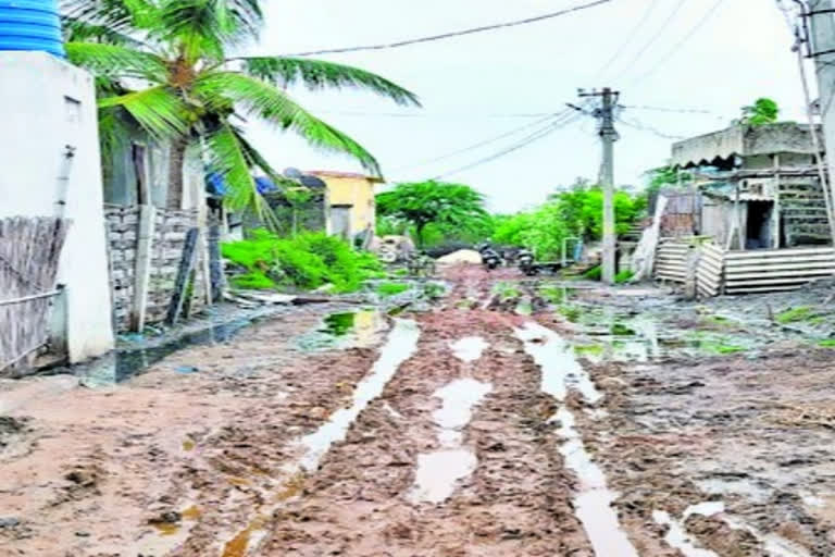 away-to-development-kolleru-villeges-in-krishna-district