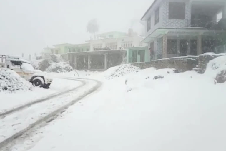 snowfall in karsog