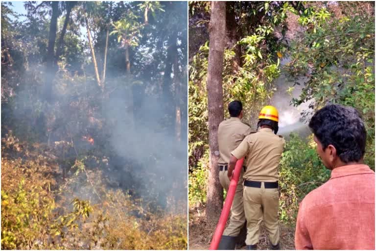 fire-near-the-railway-railing-in-amadalli-konkana-railway