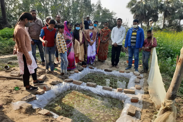 जीविका दीदी पशुपालन के लिये कर रही हैं ओजोला पीठ का निर्माण