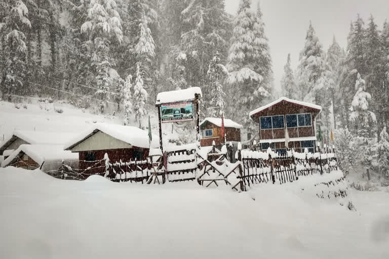 snowfall in mandi