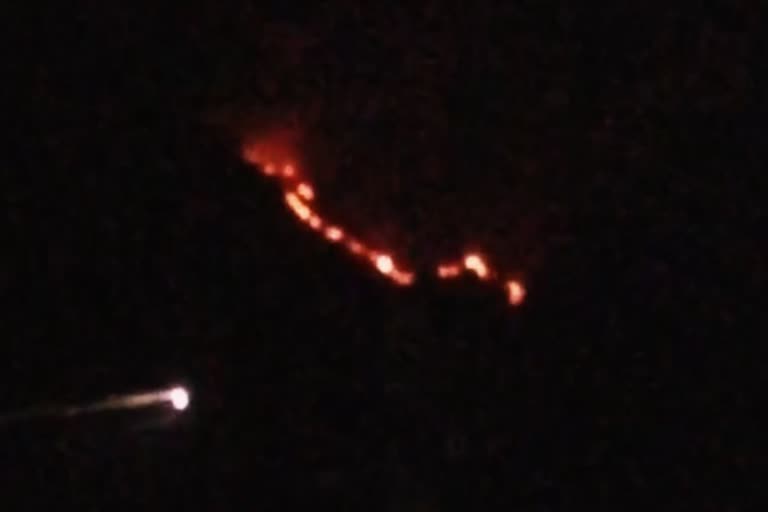 Forest fire  ஆரல்வாய்மொழி தெற்கு மலைப்பகுதியில் தீ விபத்து  கன்னியாகுமரி மலைப்பகுதியில் தீ விபத்து  கன்னியாகுமரி தீ விபத்து  Kanniyakumari Fire Accident  Aralvaymozhi fire in the southern hills  Fire in Kanyakumari hills  மேற்கு தொடர்ச்சி மலையில் தீ விபத்து  Fire in the Western Continuum Mountains  Kanniyakumari Hills Fire