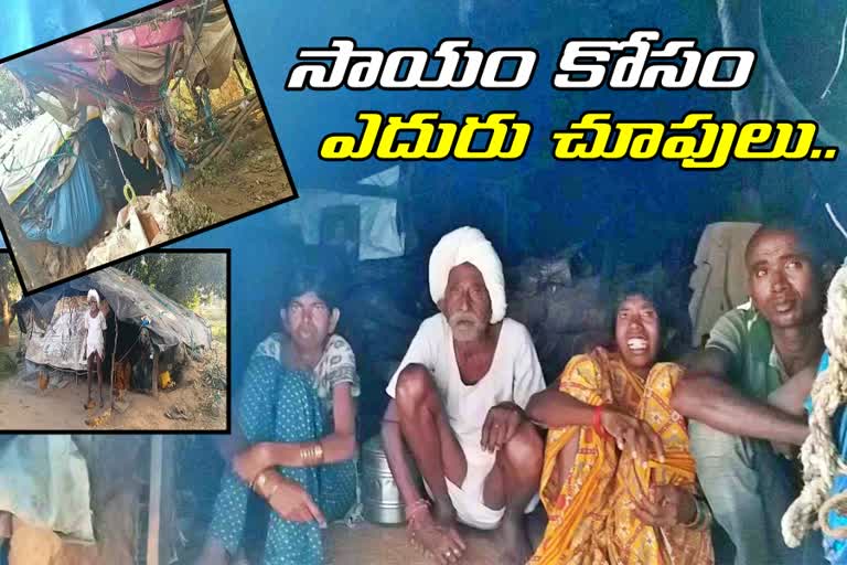 a family need governments helps in chigurumamidi mandal in karimnagar district