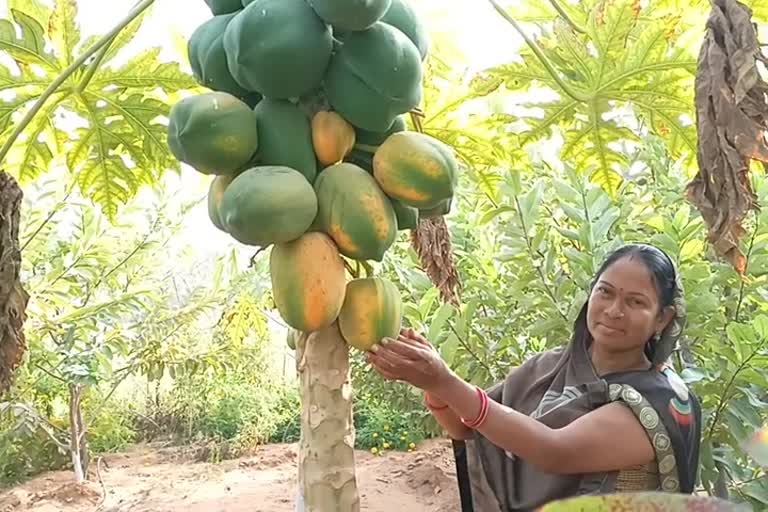 Story of Laxmi becoming a successful farmer