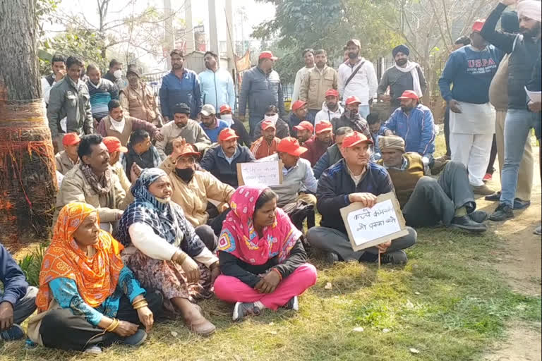 sarva karmchari sangh protest against government in sirsa