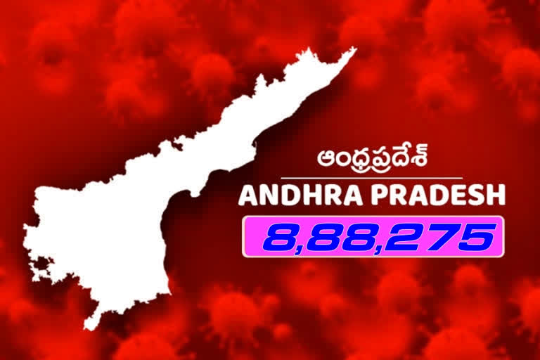 andhrapradesh carona bulletin