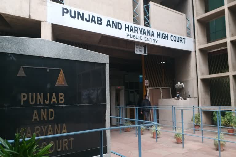 high-court-issues-notice-to-government-on-internet-ban-issue-in-haryana