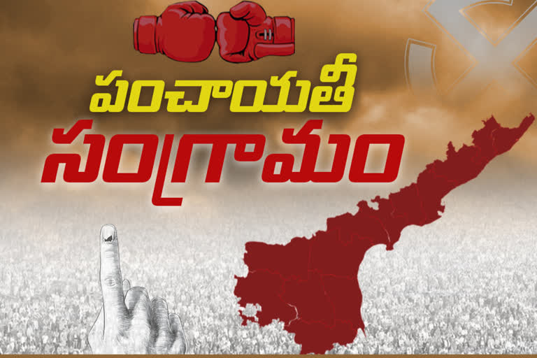 ap local polls