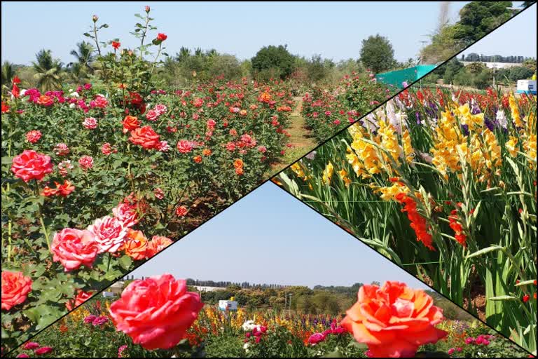 National Horticultural Fair