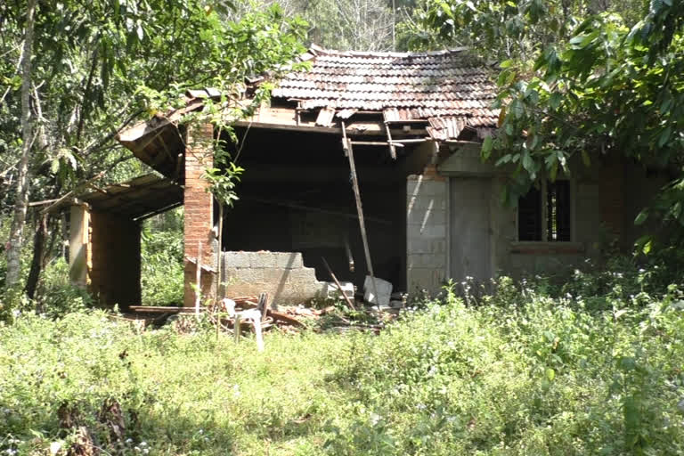 വന്യമൃഗ ഭീതിയിൽ മലയോര മേഖല; ആശങ്കയോടെ കർഷകർ  വന്യമൃഗ ശല്യം  മാങ്കുളം  പാമ്പുംകയം  കാട്ടാന ശല്യം  ഇടുക്കി  Hilly region in fear of wild animals  wild animals in idukki  idukki wild animals  idukki