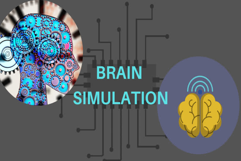 cost of studying how our brains work,James Knigh