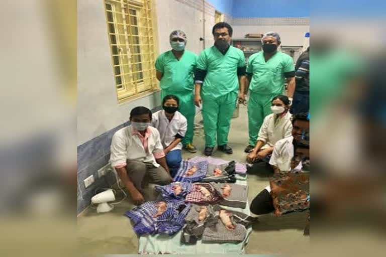 cesarean delivery of dog in Varanasi