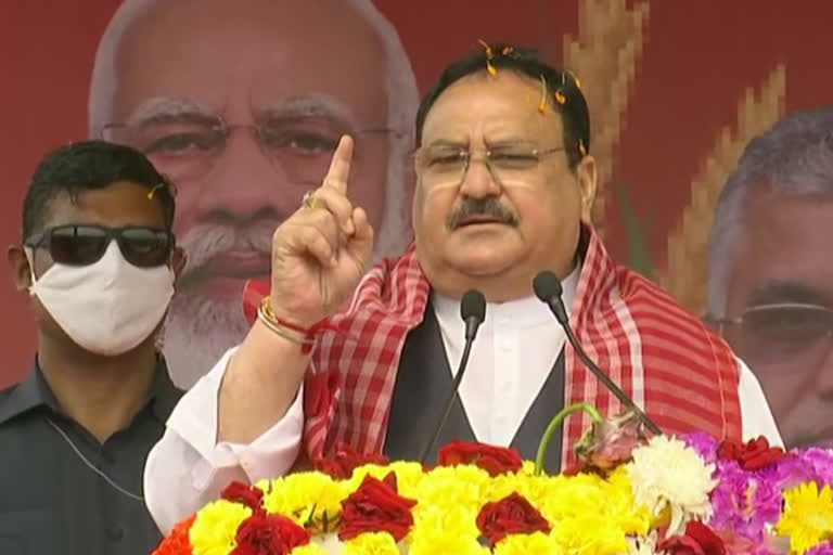 Mamata did not allow PM Kisan scheme in Bengal to satisfy her ego: J P Nadda