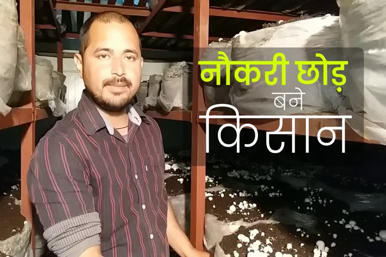 Haldwani Mushroom Farming