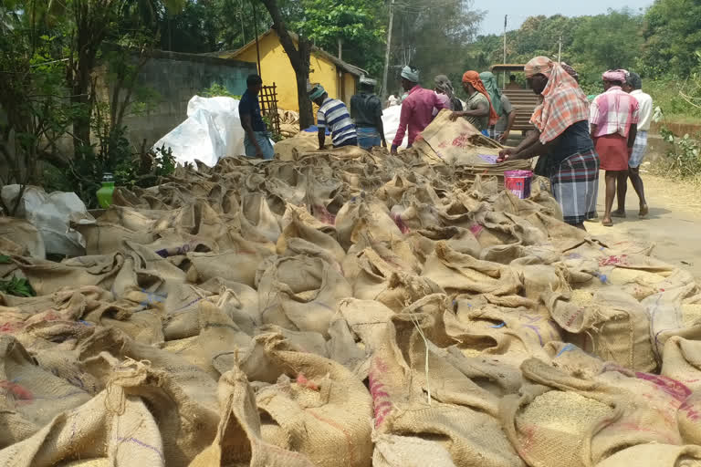 Paddy procurement station opening: Farmers blame sluggish work!