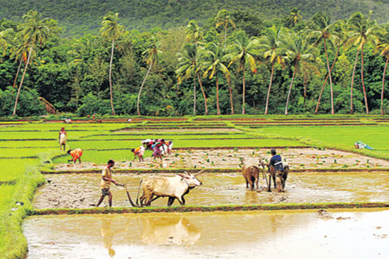 editorial on budget allocations to farming sector in 2021-22 central budget