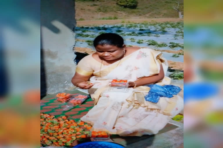 mp-madhavi-visit-straa-berry-plantaions-at-lambasing-in-visakhapatnam-district