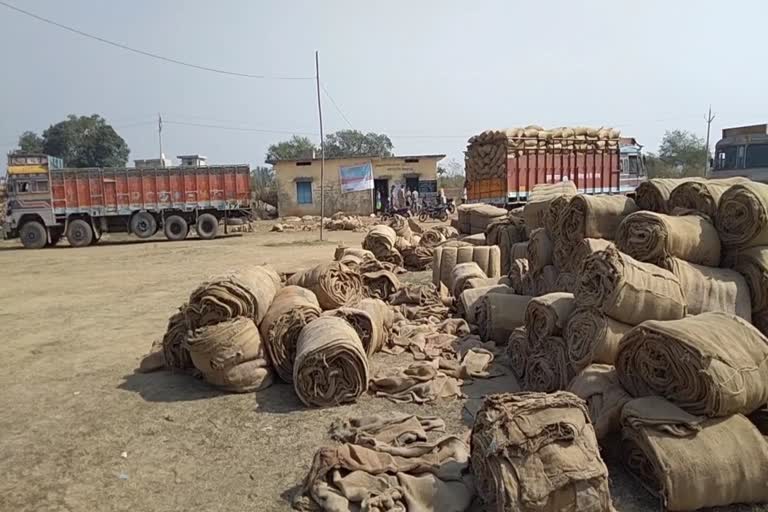 45-bags-of-paddy-theft-from-bilha-paddy-purchase-center-in-bilaspur