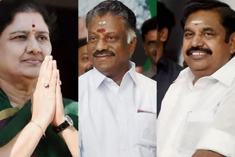 advertisement emerges as sasikala