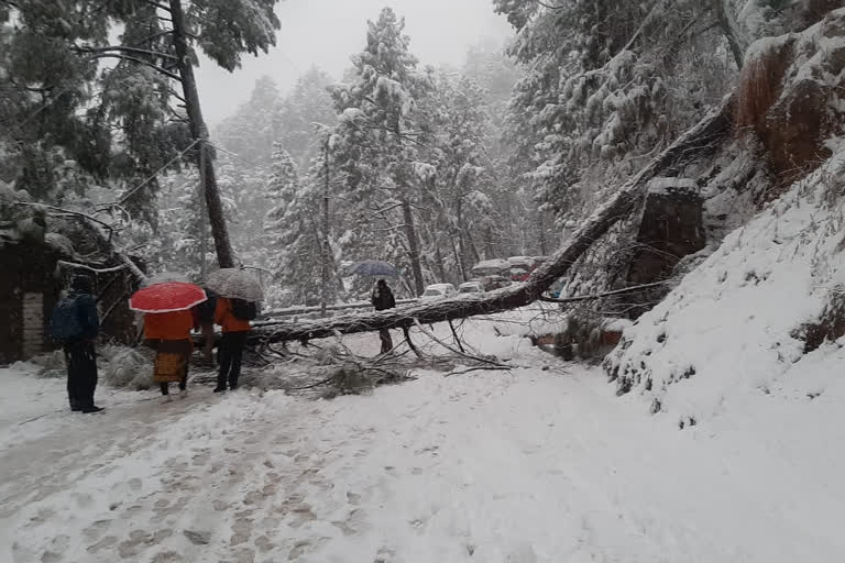 District Police rescues dozens of people during snowfall