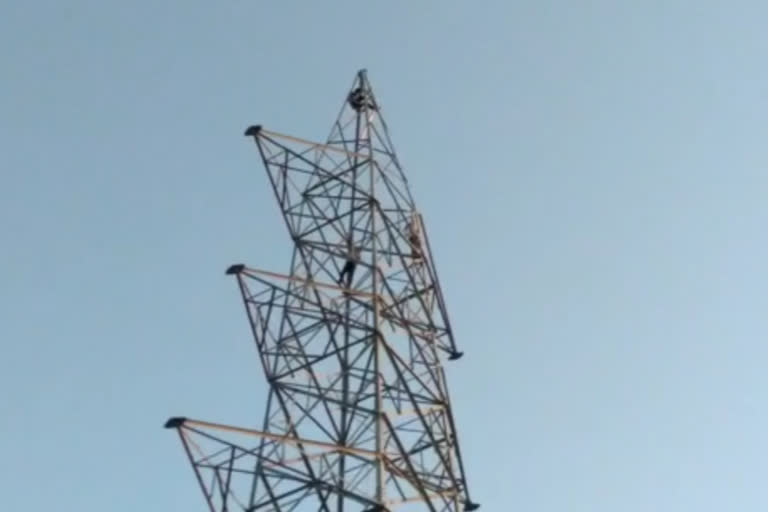 Two young men climbed the tower