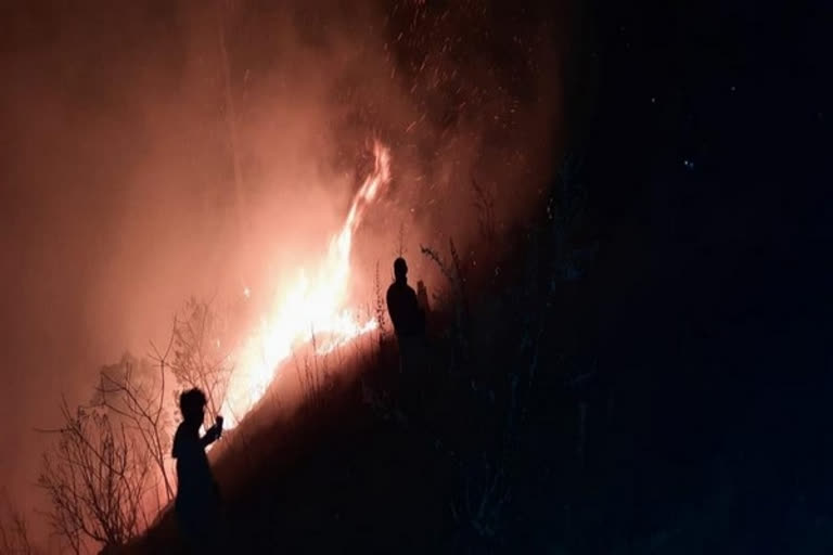 Army help to control forest fire  Indian Army helps authorities to control fire  Indian Army helps authorities to control forest fire in Arunachal  Forest fire in Arunachal  ഇറ്റാനഗർ  വെസ്റ്റ് കാമെങ്ങ്  തീ പിടിത്തം  ഇന്ത്യൻ സൈന്യം