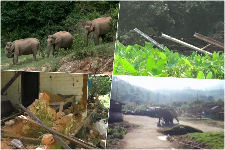 Crores given to prevent wild animal attack  state forest department  വന്യമൃഗ ശല്യം തടയാന്‍ നൽകിയത് കോടികൾ  വിനിയോഗിക്കാതെ വനംവകുപ്പ്  വിവരാവകാശ രേഖ പുറത്ത്  wild animal attack in iduuki  കേന്ദ്ര വനം പരിസ്ഥിതി മന്ത്രാലയം